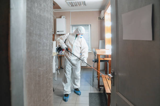 Best Industrial Mold Remediation  in Clinton, OH