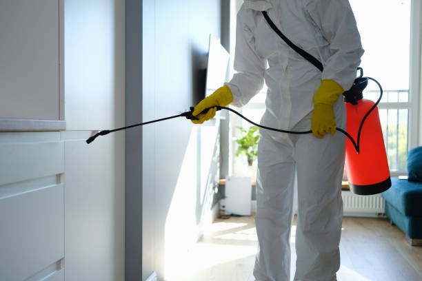 Best Water Damage & Mold Remediation  in Clinton, OH